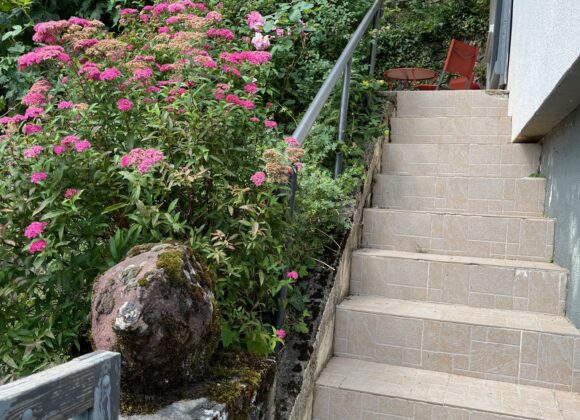 Petit escalier (avec rampe) menant à l'entrée de la maison.